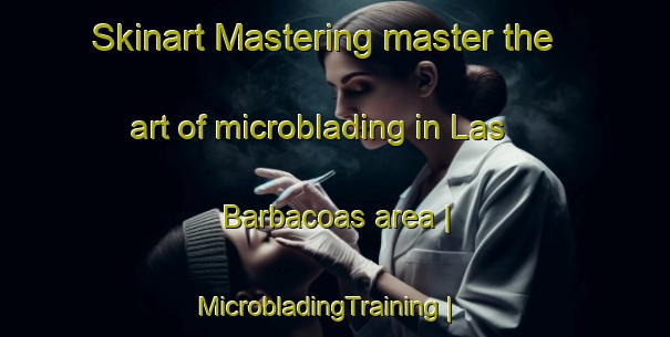 Skinart Mastering master the art of microblading in Las Barbacoas area | MicrobladingTraining | MicrobladingClasses | SkinartTraining-Venezuela